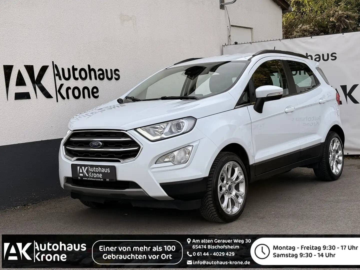 Ford EcoSport EcoSport 1.0 EcoBoost Titanium  *SHZ*PDC *LENKRADH Weiß - 1