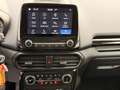 Ford EcoSport EcoSport 1.0 EcoBoost Titanium  *SHZ*PDC *LENKRADH Weiß - thumbnail 18