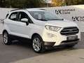 Ford EcoSport EcoSport 1.0 EcoBoost Titanium  *SHZ*PDC *LENKRADH Weiß - thumbnail 4