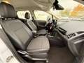 Ford EcoSport EcoSport 1.0 EcoBoost Titanium  *SHZ*PDC *LENKRADH Weiß - thumbnail 22
