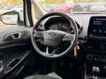 Ford EcoSport EcoSport 1.0 EcoBoost Titanium  *SHZ*PDC *LENKRADH Weiß - thumbnail 13