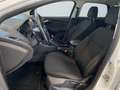 Ford Focus Turnier Business 1.0 EcoBoost Parkassistent Білий - thumbnail 7