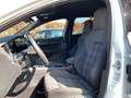 Volkswagen Golf GTI Golf 2.0 TSI OPF DSG GTI Weiß - thumbnail 16