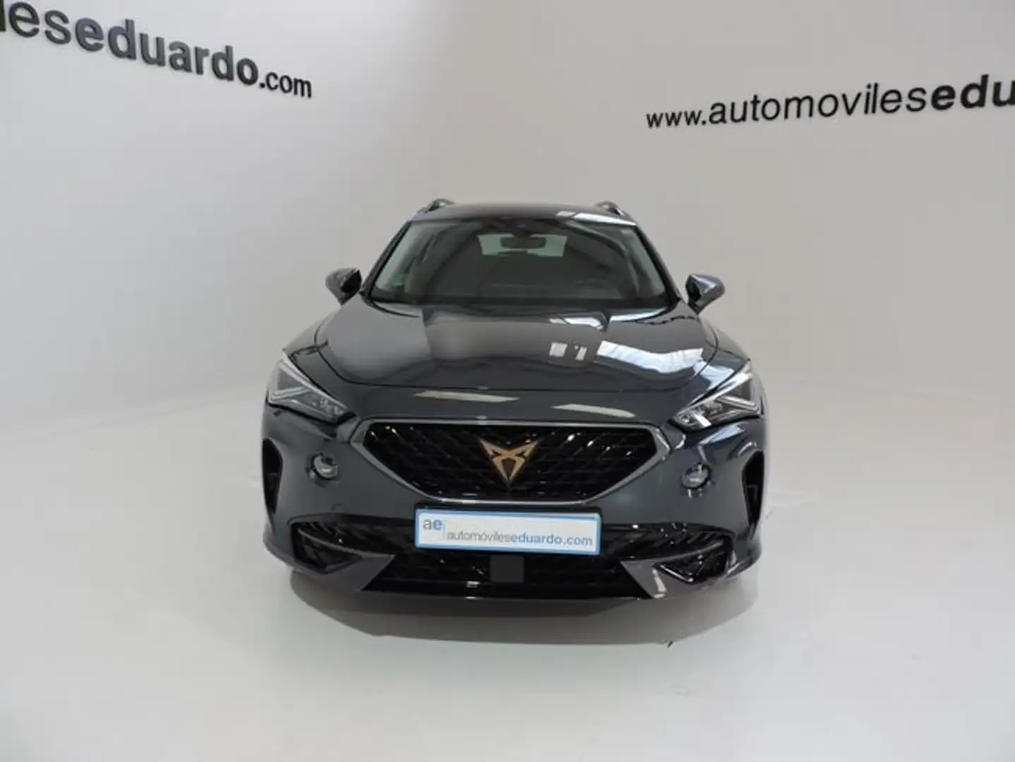 CUPRA Formentor 1.5 TSI 110 kW Gris - 2