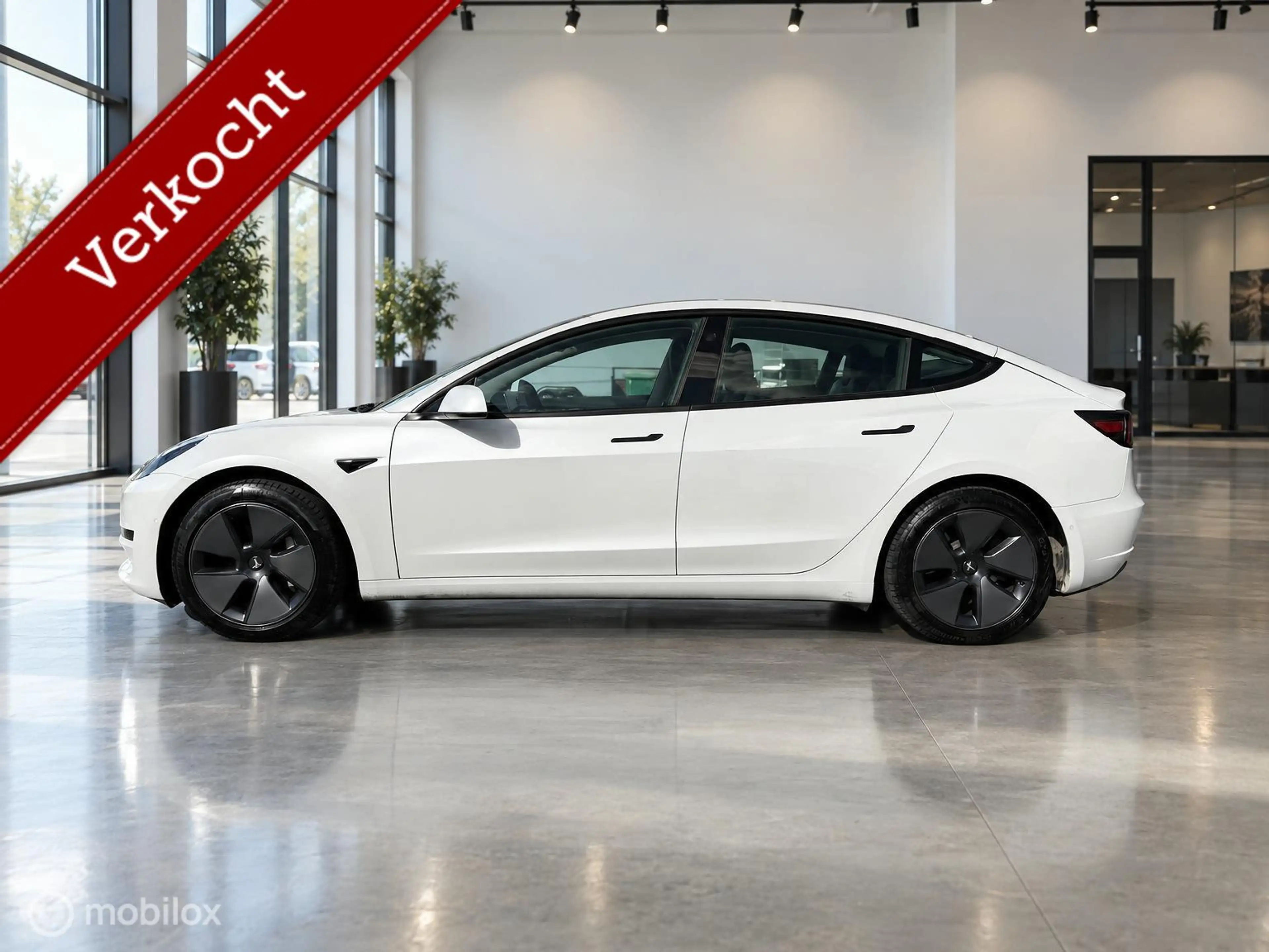 Tesla Model 3 RWD Plus 60kWh LFP | Trekhaak 1.000kg | Pearl Whit — photo 4