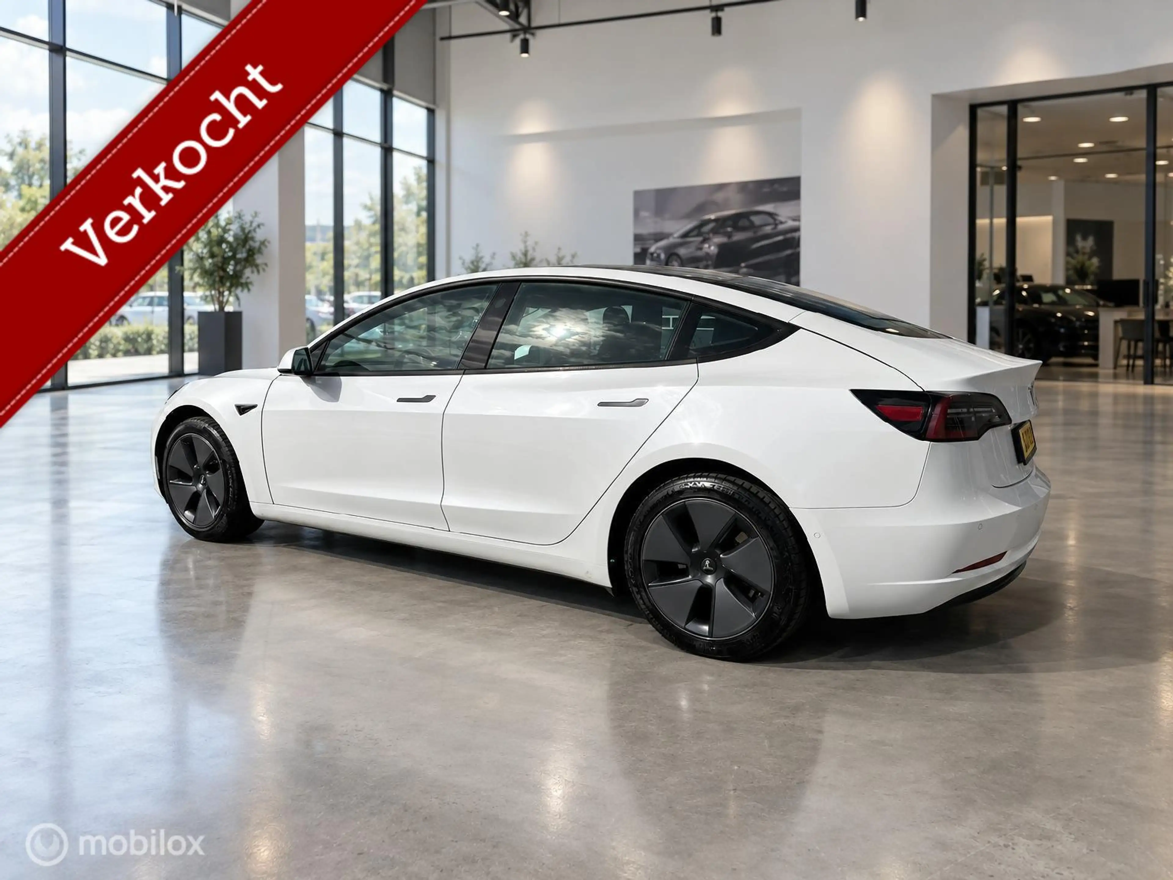 Tesla Model 3 RWD Plus 60kWh LFP | Trekhaak 1.000kg | Pearl Whit — photo 5