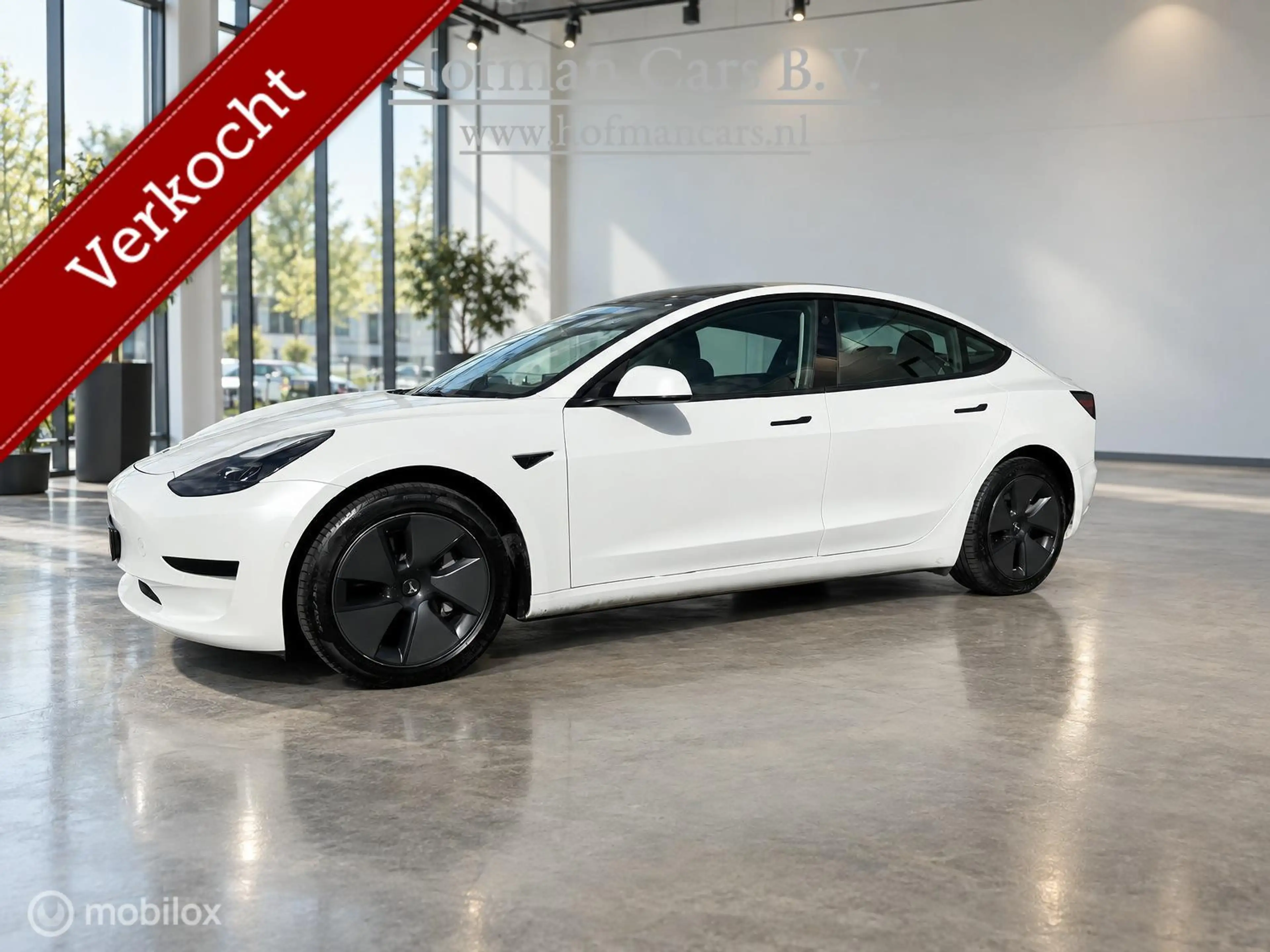Tesla Model 3 RWD Plus 60kWh LFP | Trekhaak 1.000kg | Pearl Whit — photo 3