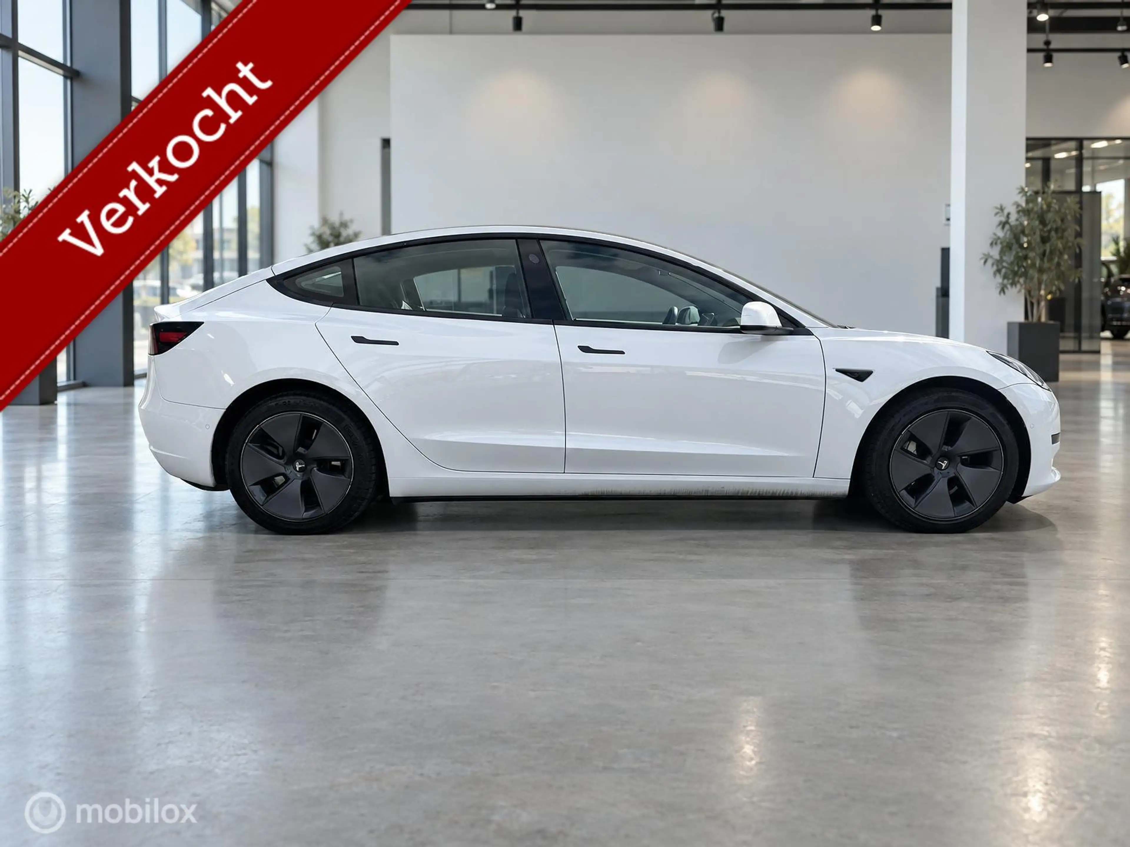 Tesla Model 3 RWD Plus 60kWh LFP | Trekhaak 1.000kg | Pearl Whit — photo 10