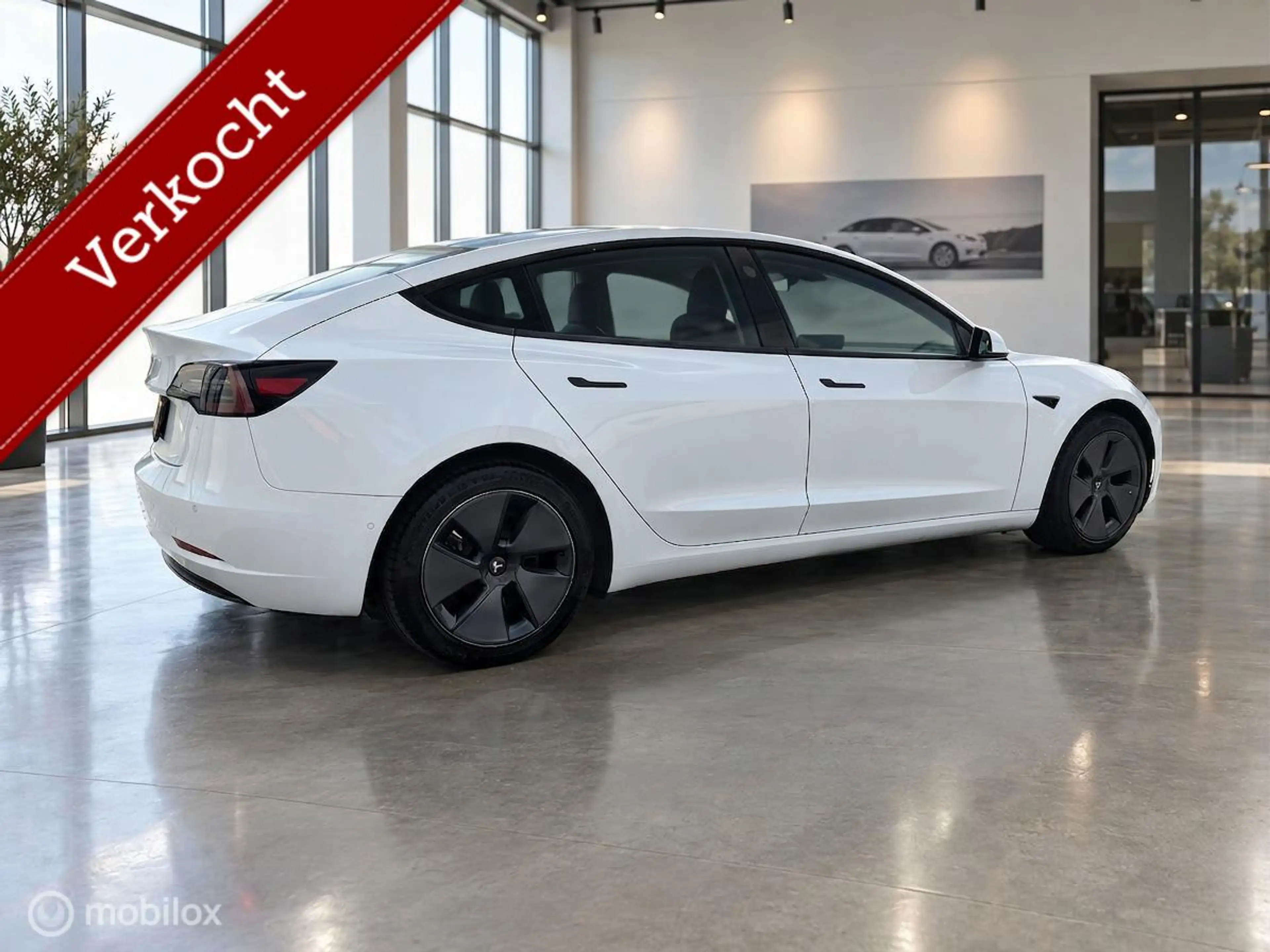 Tesla Model 3 RWD Plus 60kWh LFP | Trekhaak 1.000kg | Pearl Whit — photo 9
