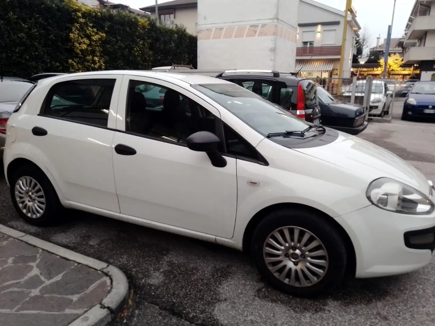 Fiat Punto Evo 5p 1.4 Active 77cv Bianco - 1