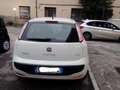 Fiat Punto Evo 5p 1.4 Active 77cv Bianco - thumbnail 4