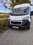 Peugeot Boxer Weiß - thumbnail 4