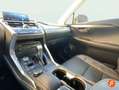 Lexus NX 300 300h Business 2WD Gris - thumbnail 23