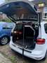 Volkswagen Touran Sound/ RFK/ PANO *Behindertenumbau-Handbremshebel* Weiß - thumbnail 7
