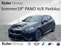 BMW 120 i M-Sport Sommer19'' PANO H/K DA+ ParkAss LED Schwarz - thumbnail 1