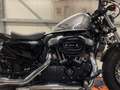 Harley-Davidson Sportster Forty Eight XL1200X Zilver - thumbnail 2