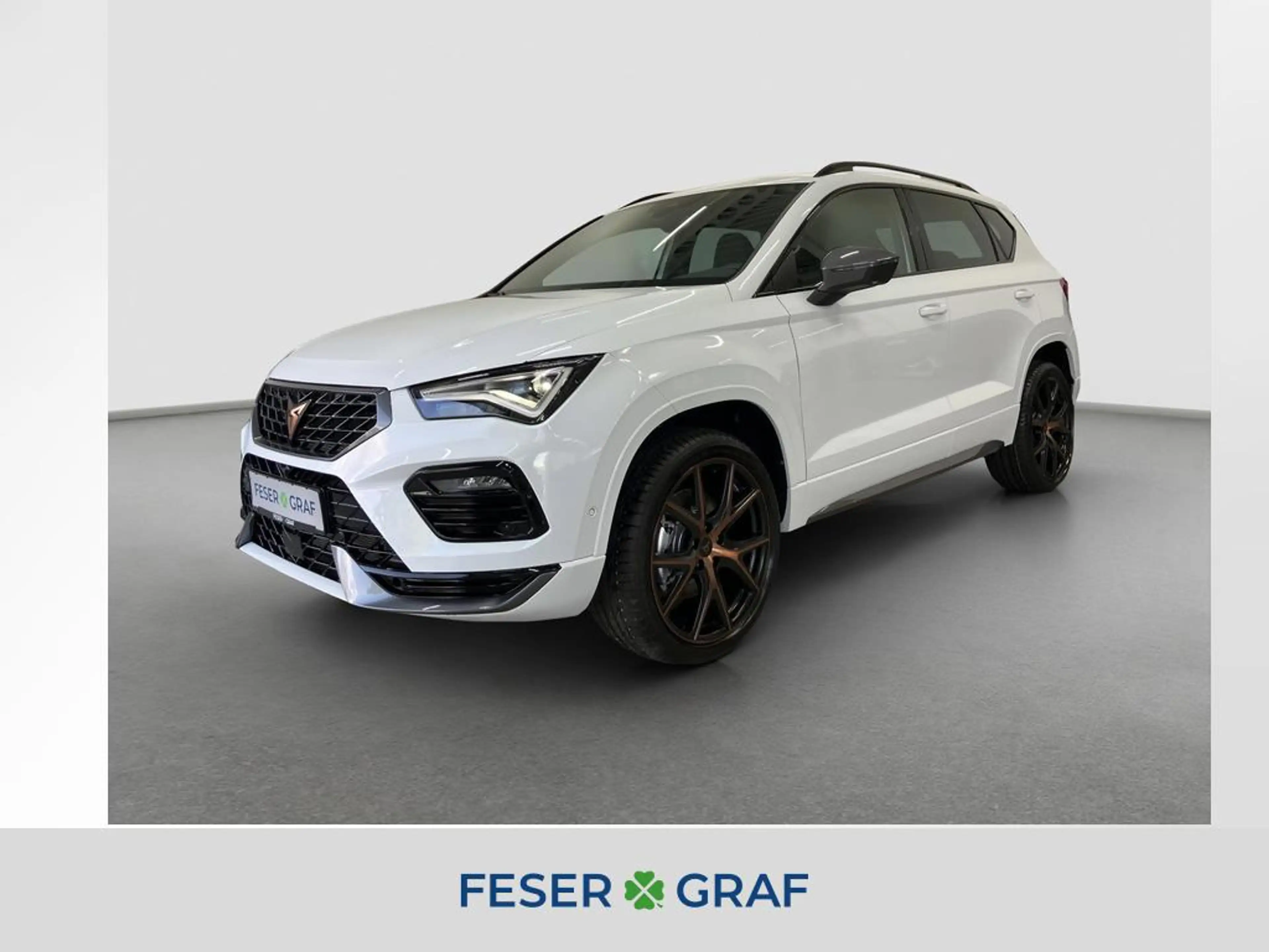 CUPRA Ateca 1.5 TSI 150PS 7-Gang-DSG |SHZ|TOP VIEW