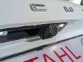 Ford Focus Turnier Titanium X  Aut.1,0 EcoBoost Hybrid Weiß - thumbnail 7