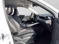 MG ZS Hybrid+ Luxury 360° LM18 LED Navi Weiß - thumbnail 4