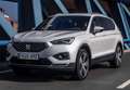 SEAT Tarraco 2.0TDI S&S Style 150 Bleu - thumbnail 18