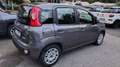 Fiat Panda Panda 1.0 FireFly S&S Hybrid Grigio - thumbnail 5