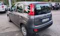Fiat Panda Panda 1.0 FireFly S&S Hybrid Grigio - thumbnail 3