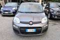 Fiat Panda Panda 1.0 FireFly S&S Hybrid Grigio - thumbnail 4