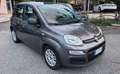 Fiat Panda Panda 1.0 FireFly S&S Hybrid Grigio - thumbnail 1