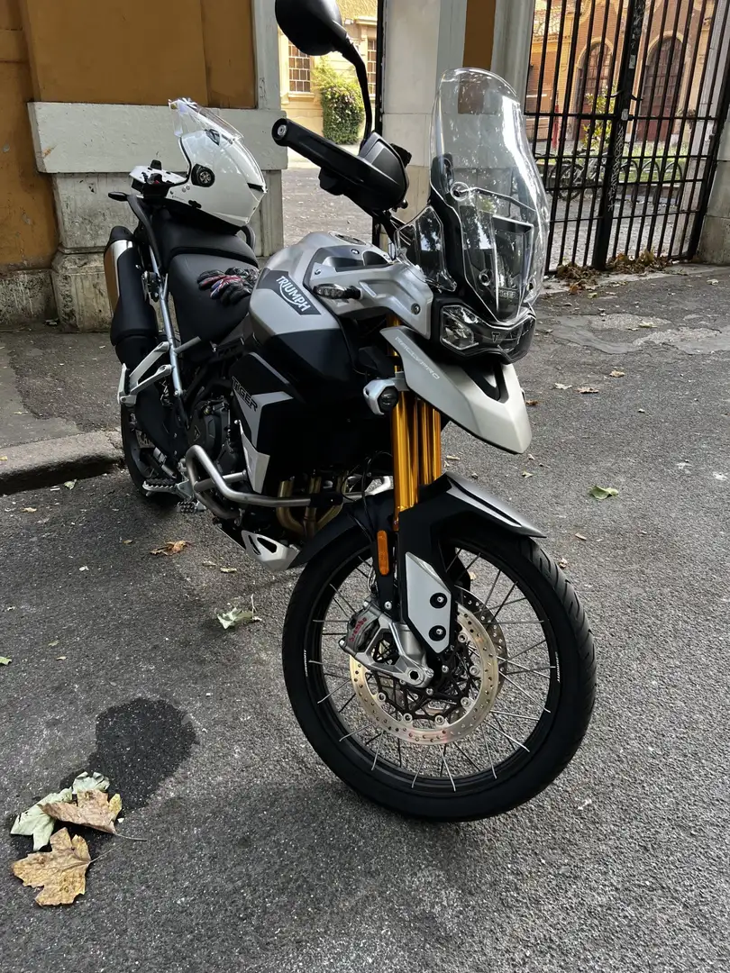 Triumph Tiger 900 Rally Pro Verde - 1