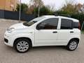 Fiat Panda 0.9 N1 Natural Power - NEOPATENTATI - GARANTITA - Bianco - thumbnail 4
