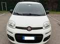 Fiat Panda 0.9 N1 Natural Power - NEOPATENTATI - GARANTITA - Bianco - thumbnail 1