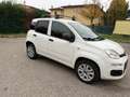 Fiat Panda 0.9 N1 Natural Power - NEOPATENTATI - GARANTITA - Bianco - thumbnail 2