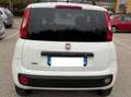 Fiat Panda 0.9 N1 Natural Power - NEOPATENTATI - GARANTITA - Bianco - thumbnail 3