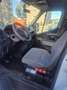 Opel Movano 2.3 CDTI L1H1 DPF 2WD VA - thumbnail 3