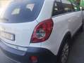 Opel Antara CDI 2.0 150 CV 2wd Bianco - thumbnail 5