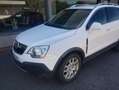 Opel Antara CDI 2.0 150 CV 2wd Bianco - thumbnail 3