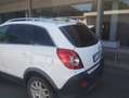 Opel Antara CDI 2.0 150 CV 2wd Bianco - thumbnail 4