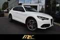 Alfa Romeo Stelvio VELOCE Q4 AUTO*LED*CARPLAY*20 ZOLL*TRAUM Weiß - thumbnail 11