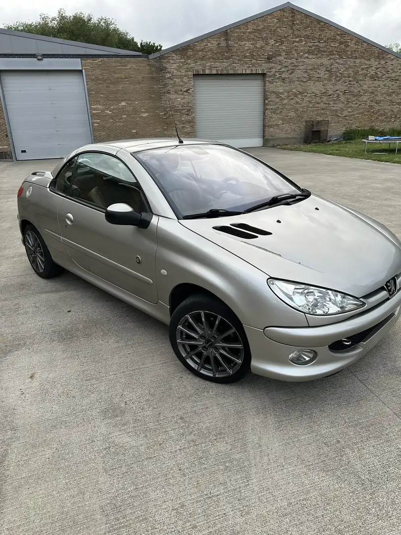 Peugeot 206 CC 1.6i 16v Roland Garros - 2