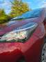 Toyota Yaris Comfort Rot - thumbnail 17