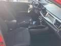 Kia Rio 1.0 T-GDI MHEV DRIVE Rojo - thumbnail 19