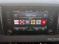 Skoda Karoq Karoq 1.0 TSI 110 CV Executive *PREZZO REALE NON Plateado - thumbnail 23