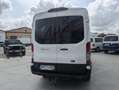 Ford Transit 310 77kW L3H2 Van Trend Delantera Blanc - thumbnail 7