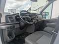 Ford Transit 310 77kW L3H2 Van Trend Delantera Blanc - thumbnail 10