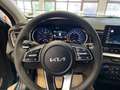 Kia Ceed / cee'd Spirit Grau - thumbnail 13
