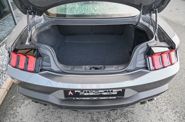 Ford Mustang view 8