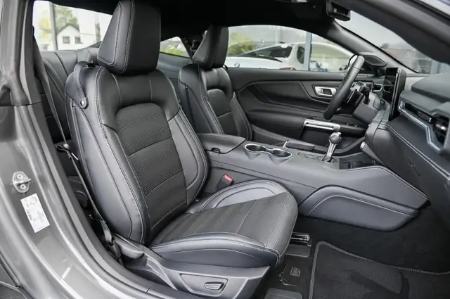 Ford Mustang view 12