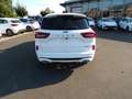 Ford Kuga ST Line X FHEV AHK-Panoramadach - Black Package/Ma Bianco - thumbnail 5