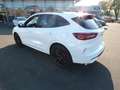 Ford Kuga ST Line X FHEV AHK-Panoramadach - Black Package/Ma Bianco - thumbnail 4