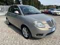 Lancia Ypsilon 1.4 8v Platinum ecochic Gpl "OK NEOPATENTATI" Beige - thumbnail 13